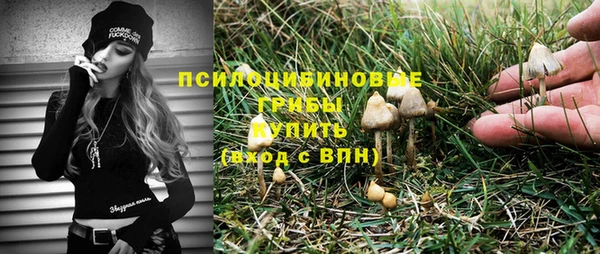 тгк Елабуга