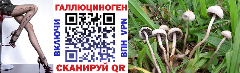 Галлюциногенные грибы прущие грибы  Рошаль 